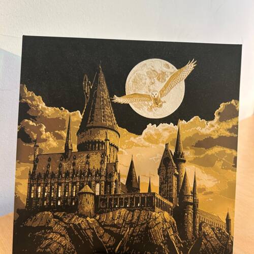 Lamina Harry Potter Hogwarts Hedwig 3D 20*20 cm
