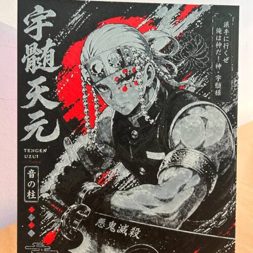 Lamina Tengen 3D 24*19cm